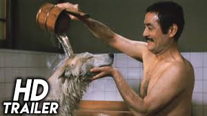 Bir profesör ile bir köpek arasındaki müthiş dostluğu konu edinen. Hachiko 1987 Original Trailer Hd 1080p Youtube