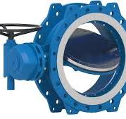 Double Offset Butterfly Valve - Global Flow Control