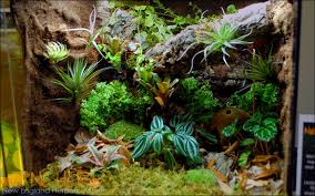 Custom Background Kit For 20GH Bioactive Terrariums & Live Vivariums |  NEHERP - Your One Stop Vivarium Shop!