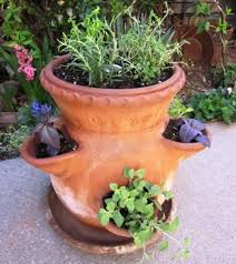 Maybe you would like to learn more about one of these? Grow An Herbal Tea Garden Finegardening