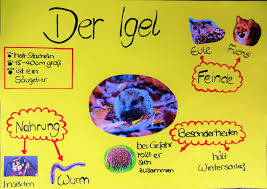 Plakat Plakat Gestalten Plakate Erstellen Plakat