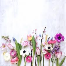 The sunrise over the peak district in derbyshire is an early indication that spring sunshine is on its way as the storms of late are swept aside. Summer Weekend Wildflowers Festival England Love Ranunculus C Colli Spring Flowers Most Beautiful Flowers Flower Wallpaper