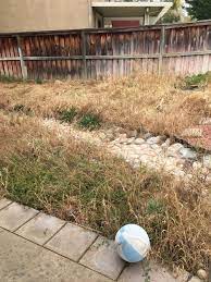 This is where our entire landscape transformation began. Ugly Backyard Needs Makeover