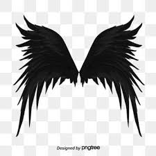 Black And White Angel Wings Png Black Fallen Angel Wing Feather Angel Angel Wings Spreading Wings Png Transparent Clipart Image And Psd File For Free Download In 2020 Feather Angel Wings Fallen Angel Black Background Images
