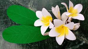 Paper Flowers Plumeria Frangipani Flower 131 Paper Flowers How To Make Paper Flowers Big Paper Flowers