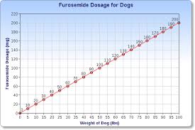 lasix for dogs veterinary place