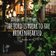 Levi lusko opens his life and grief to us and lets us see god's mercy and beauty through the eyes of a lion. Pain Is A Microphone Through The Eyes Of A Lion Faithgateway