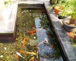 Kehadiran sebuah kolam koi membuat rumah anda terlihat indah. Skema Dan Bentuk Kolam Koi Berdasarkan Lokasi Minimalis