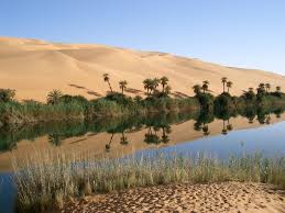 What Makes The Desert Beautiful Relief A Journal Of Art And Faith