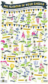 Tumblr is a place to express yourself, discover yourself, and bond over the stuff you love. Plants That Bees Love Season After Season Bee Beekeeping Beegarden Bee Friendly Garden Bee Friendly Bees Plants