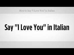 We hope this will help you to understand italian better. How To Say I Love You In Italian Italian Lessons Italian Lessons Italian Words How To Speak Italian