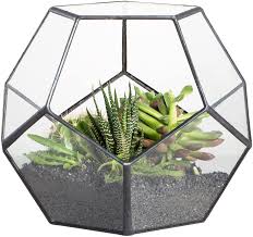 Diy moss wall art bringt natur ins haus. Ncyp Handmade Pentagon Glass Geometric Terrarium Garden Display Flower Pot Indoor Outdoor Tabletop Centerpiece Planter For Succulent Cacti Fern Moss 15cm No Plants Included Flower Pots Garden Outdoors Clinicadelpieaitanalopez Com