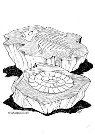 Color online with this game to color animals coloring pages and you will be able to share and to create your own gallery online. Fossils Coloring Pages Coloring Home