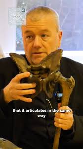 The first fully bipedal human? 🏃‍♂️, Clip from The Ancients Podcast:, Homo  erectus 🎙 Professor John McNabb, #evolution #homoerectus #archaeology  #ancient #history #theancients #podcast