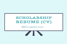 Undergraduate scholarship form applicant details first name: Cv For Scholarship Resume For Scholarship Samples Turkey Scholarships