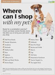 From puppy class to potty training to tricks and therapy dog training, petsmart offers a class for every dog, including private sessions. Dog Training For Beginners Dog Training 10019 Dog Training Clicker How To Use Petsmart Dog Trai Puppy Socialization Dog Training Dog Training Obedience