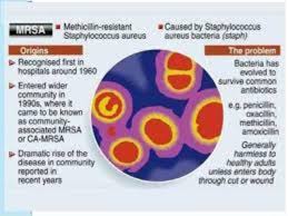 Aureus that has developed (through natural selection) or acquired (through horizontal gene transfer) a multiple drug resistance. Sports Medicine Primer Methicillin Resistant S Aureus Mrsa Advocates For Injured Athletes