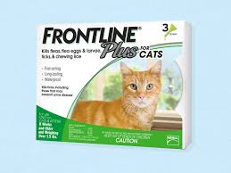I used it on my guinea pigs for mites and it works extremely well. Best Flea Treatment For Cats In 2021 Business Insider