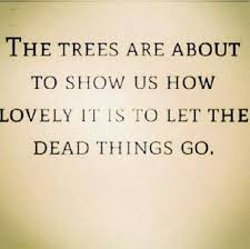 Add to next upadd to next upadd to next upadded. Best Motivational Quotes Of All Time Mp3 Download Mp3 Music Coldplay Lyrics Great Song Lyrics Lyrics Dogtrainingobedienceschool Com
