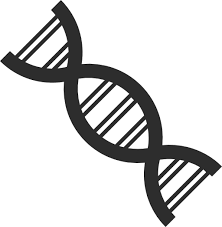 Dna Strand Free Vector Icons Designed By Freepik Vector Icons Free Vector Free Vector Icon Design