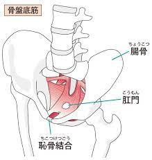 腟からオナラ？】気になる“腟ナラ”を卒業したい！腟ナラを解決する「寝たまま簡単エクサ」 | ヨガジャーナルオンライン