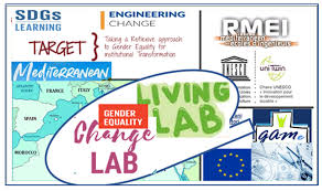 I Somehow Got Strong By Raising Skills Related To Farming Light Novel Sustainability Free Full Text New Forms Of Social Learning In Mediterranean Higher Engineering Education Change Lab For Gender Equality Transformation Methodology Design Principles Html