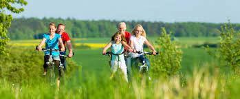 They run alongside the estuary which abounds with water birds. Tarka Trail Cycle Hire Barnstaple North Devon