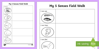 My Senses Ks1 Resources Twinkl