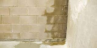 Thanks to their support, midwest foundation repair has grown to be iowa's largest basement waterproofing and foundation repair contractor, serving all central iowa including des moines, ames and waterloo. Basement Waterproofing Services Des Moines Ia Advantaclean Of Des Moines Central
