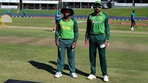 Fynbos protea cynaroides south africa national cricket team flower curtis's botanical magazine, artichokes, botany, food png. Yeh Jerseys Ek Company Ne Banai Hain Kya Twitterati Confused As Both South Africa Pakistan Wear Similar Kits
