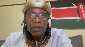 The African story is world's first story,"