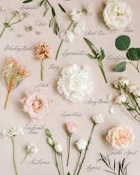 This fresh white flower is a typical springtime flower, with is delicate petals opened fully to reveal yellow throats of the outermost petals. 49 Likes 5 Comments The Wedding Study Theweddingstudy On Instagram This Is Everythi Wedding Flower Types Neutral Wedding Flowers Flower Bouquet Wedding