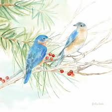 Winter Birds Iii Bluebirds Poster Print by Cynthia Coulter - Item #  VARPDXRB12405CC - Posterazzi