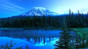 Wallpaper Collection 37 Free Hd 2560x1440 Background Background To Download And Use Pc Mobile Tablette En 2020