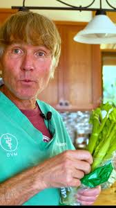 Our Feline Favorite Health Formula is