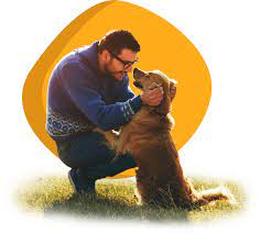 Maybe you would like to learn more about one of these? Homepage Dubuque Regional Humane Society