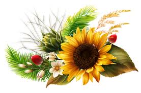Maybe you would like to learn more about one of these? Pin Di Thelma Zeledon Montero Su Kvetiny Vlastni Vyroba Girasoli Sfondi Floreali Disegno Fiori