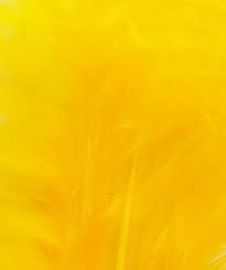 Golden Yellow Colour Chart Veniard Fly Tying