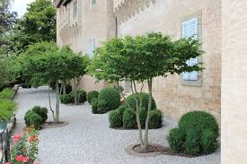 Pin Von Helga Olie Auf Trees For The Garden Terrassenbaume Baum Vorgarten Baume Garten