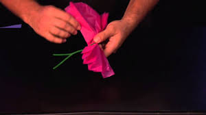 Make these mexican tissue paper flowers to make your cinco de mayo celebration colorful. How To Make Mexican Paper Flowers Youtube