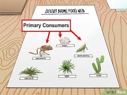 The foremost source of energy is the sun and plants or producers use sunlight to make their food . How To Draw A Food Web 11 Steps With Pictures Wikihow