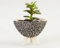 Check spelling or type a new query. Modern White Ceramic Planter Pottery Planters Ceramic Planters