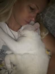 Lost noodle in Georgia?