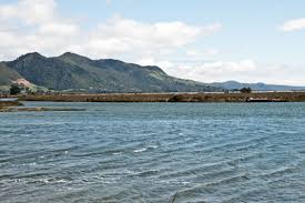Wetterbericht für mount white, collingwood. Radtour Durch Neuseeland Von Picton Zum Cape Farewell Abschnitt Von Motueka Zum Cape Farewell