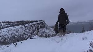 Porcupine is a fast linearizability checker for testing the correctness of distributed systems. Porcupine Meat Novelty Meal Ultimate Survival Food Meateater Hunting