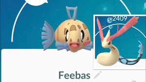 glitch bug when evolving buddy feebas to milotic in pokemon go