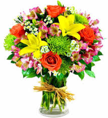 An amount below 100 means salem is cheaper than the us average. Get Well Flowers Winston Salem Nc Rae S North Point Florist Inc