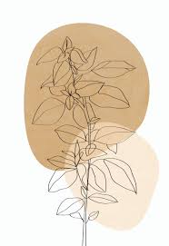 Susannah blaxill botanical art, internationally recognised as a botanical line drawing botanical drawings botanical prints botanical illustration black and white plant sketches flower. Flower Aesthetic Minimalist Simple Line Art Novocom Top