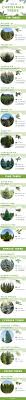 Young trees removed during thinning are used for pulpwood or are left in the forest, while most older ones are good enough for saw timber. 16 Types Of Christmas Trees