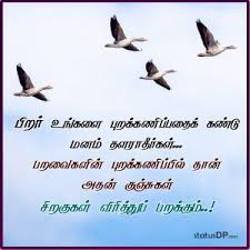 Registration for tamilcube gold™ tamil lessons for for english to tamil translation, enter the english word you want to translate to tamil meaning in the search box above and click 'search'. Ignorance Quotes In Tamil Ignorance Tamil Quotes For Whatsapp Status